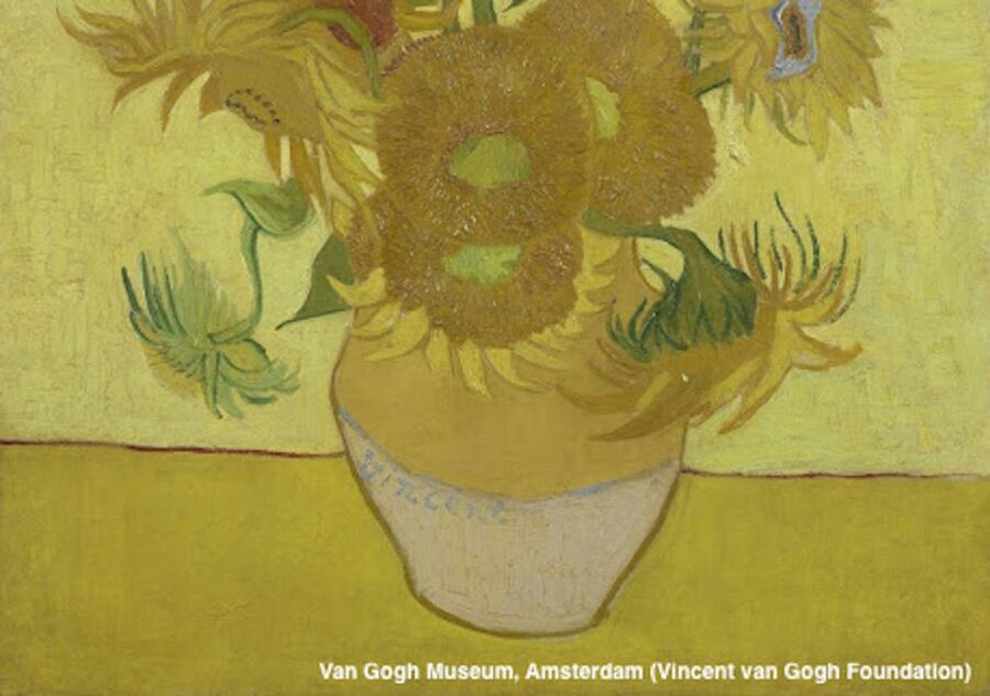Amsterdam: Van Gogh Museum Guided Tour with Entry - The opening: Van Gogh’s early direction