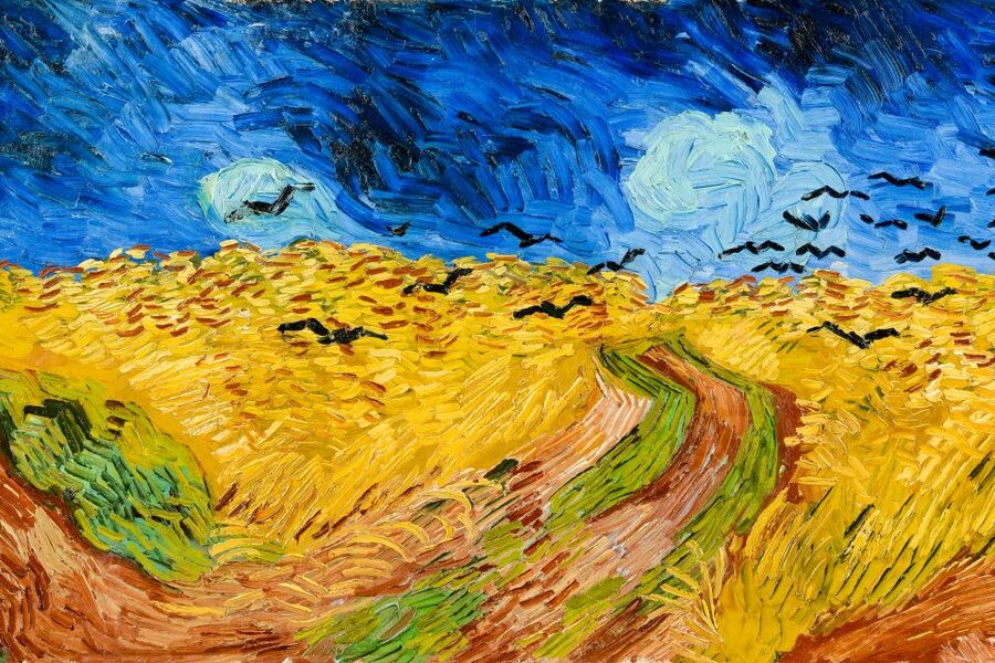 Amsterdam: Van Gogh Museum Ticket - Who will enjoy this museum most?