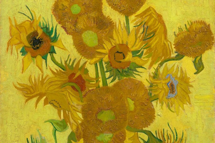 Amsterdam: Van Gogh Museum Ticket - Crowds, comfort, and accessibility