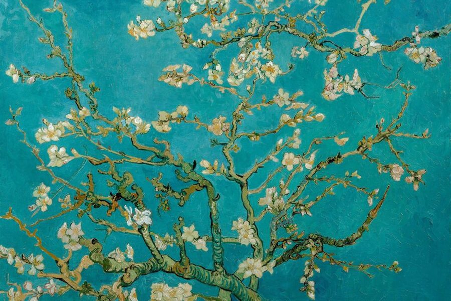 Amsterdam: Van Gogh Museum Ticket & Canal Cruise - FAQ