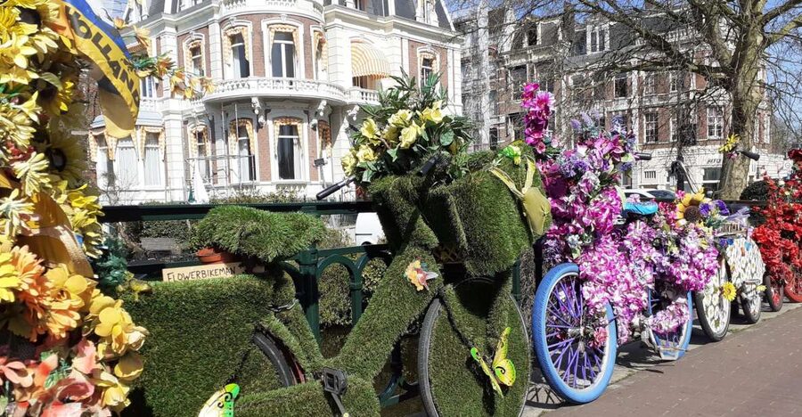 Amsterdam Walking Tour and Canal Cruise - What the guide adds