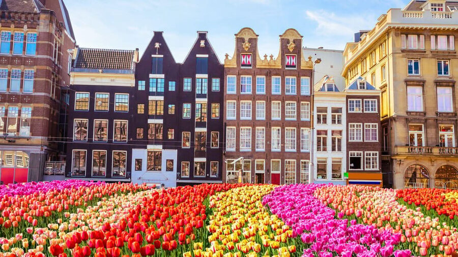 Amsterdam Walking Tour with a Local - The route changes to fit your interests