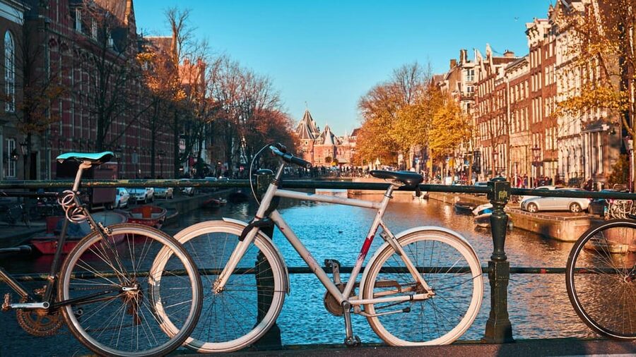 Amsterdam Walking Tour with a Local - Languages, access, and the pace of the walk