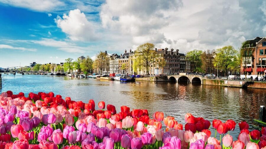 Amsterdam Walking Tour with a Local - Who should book this Amsterdam walk