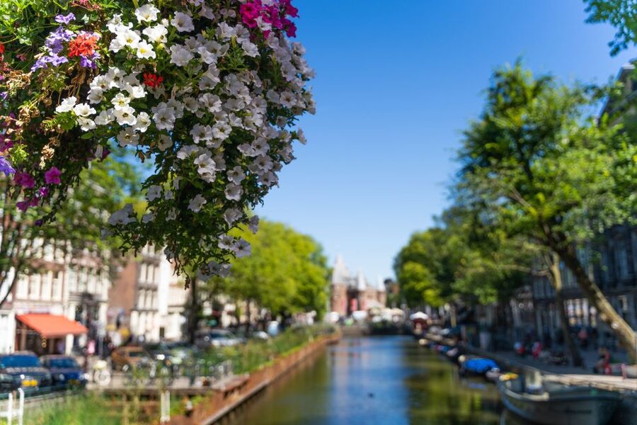 Amsterdam Walking Tour with Cheese Tasting - Dam Square and the final city overview