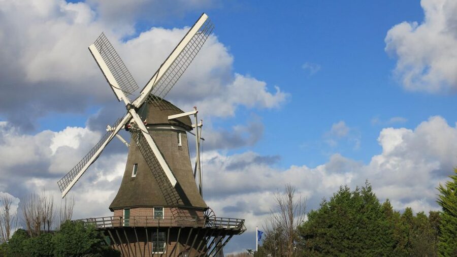 Amsterdam: Windmill Guided Tour - Is it suitable for children and wheelchair users?
