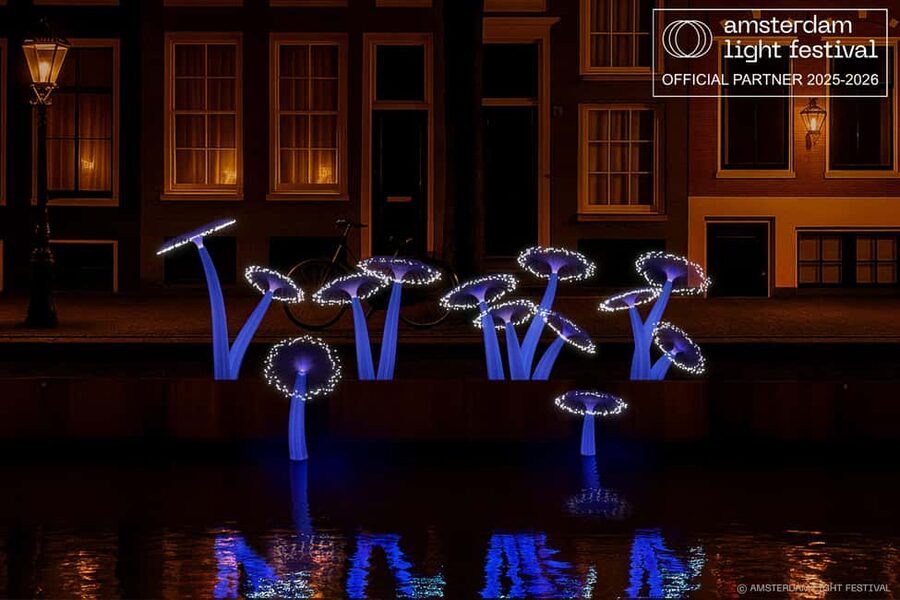 Amsterdam Winter Walking Tour - Starting at Dam Square with Amsterdam’s founding story