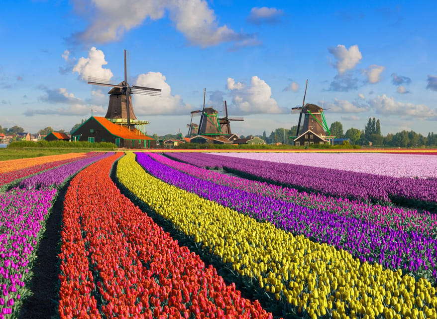 Amsterdam: Zaanse Schans, The Hague & Rotterdam Tour - Key points to know before booking