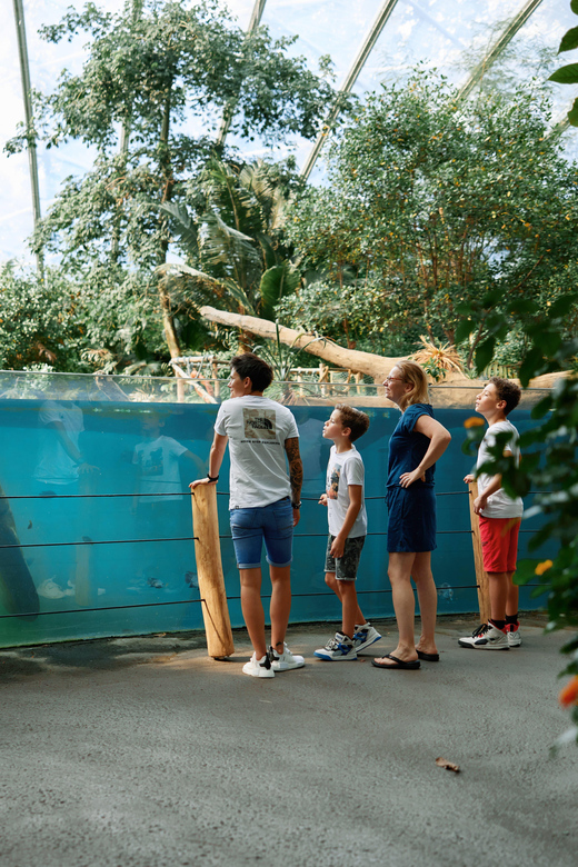 Arnhem: Burgers' Zoo Entry Ticket - Why Burgers Zoo feels different from a standard zoo