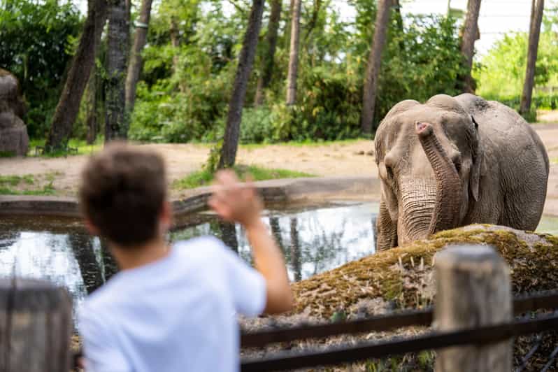 Arnhem: Burgers' Zoo Entry Ticket - The Desert: a dry turn toward North America
