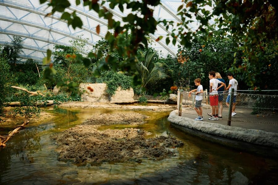 Arnhem: Burgers' Zoo Entry Ticket - The Safari: giraffes and rhinos on open plains