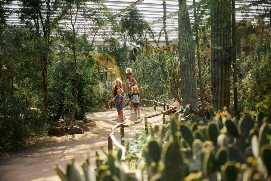 Arnhem: Burgers' Zoo Entry Ticket - The Mangrove: Belize indoors