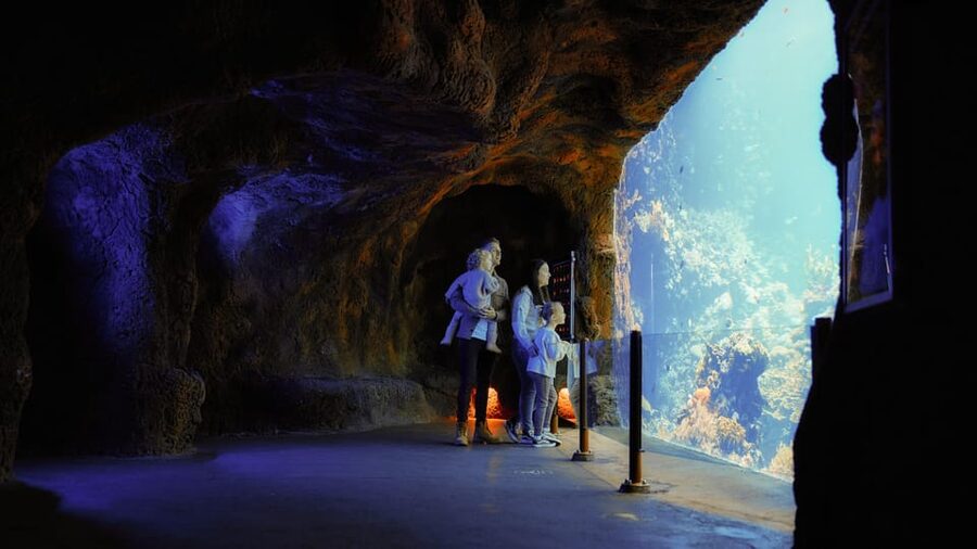 Arnhem: Burgers' Zoo Entry Ticket - How long you need and how to pace the visit
