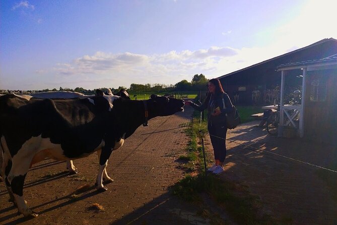 Best of Dutch Countryside: Giethoorn, Windmills, Secret Villages - What the price includes, and what it does not