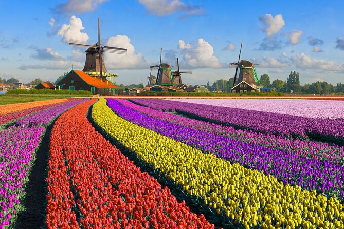 Best of Netherlands: Zaanse Schans Mills, The Hague & Rotterdam - Final verdict: a useful first look at three very different places