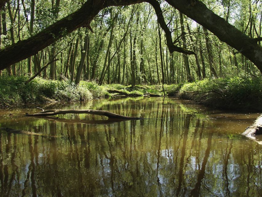 Biesbosch: Boat Cruise through National Park - Key points to know before sailing