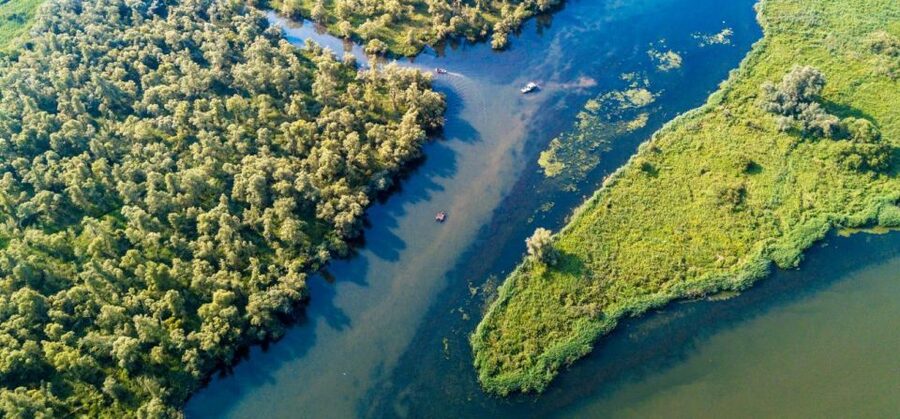 Biesbosch: Boat Cruise through National Park - Cruising aboard De Zilvermeeuw