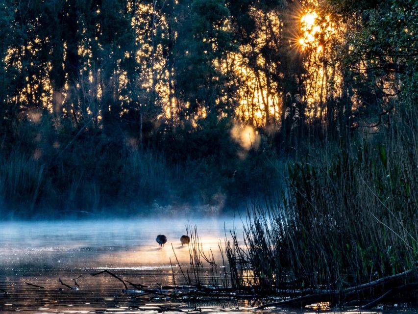 Biesbosch: Boat Cruise through National Park - Snacks, drinks, and practical comfort