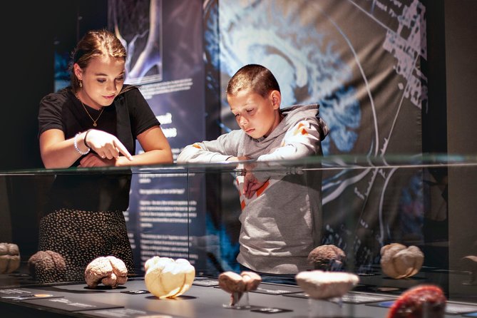 Body Worlds Amsterdam Admission Ticket - What Body Worlds Amsterdam actually shows