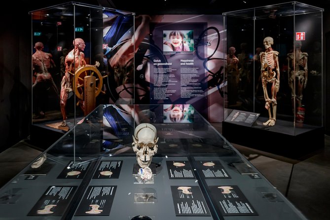Body Worlds Amsterdam Admission Ticket - How long you should plan to stay