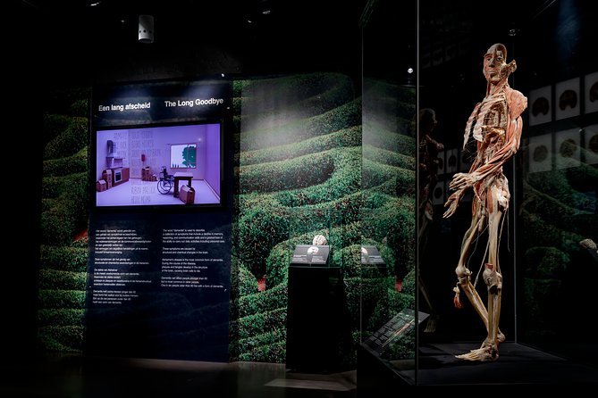 Body Worlds Amsterdam Admission Ticket - Is the $27.21 price fair?