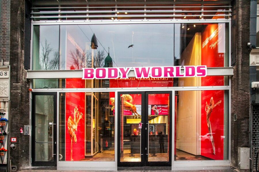 Body Worlds Amsterdam: The Happiness Project Ticket - Seeing the human body without the usual museum glass