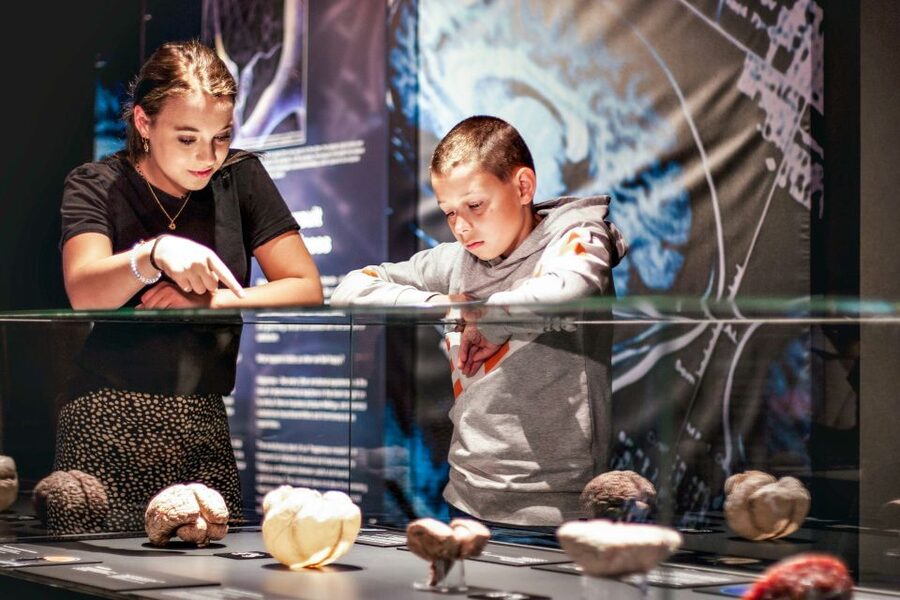 Body Worlds Amsterdam: The Happiness Project Ticket - Interactive stations and the free InBody Scan