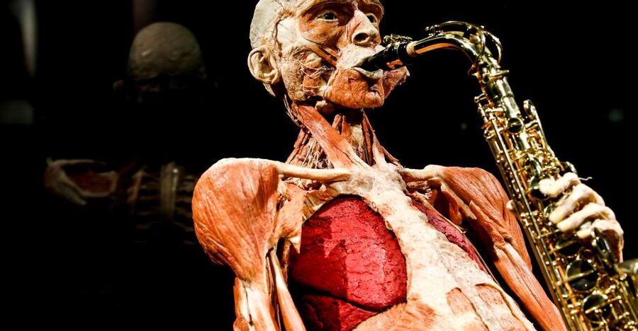 Body Worlds Amsterdam: The Happiness Project Ticket - Following the six-floor route