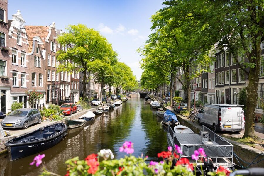 Boutique Dutch Food & History Tour with up to 8 guests only - Practical details before you book