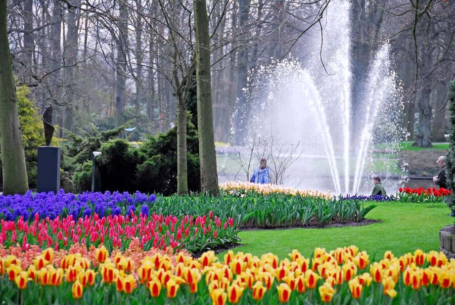 Brussels: Holland Keukenhof & Kinderdijk Guided Day Tour - Two Dutch icons, one very long day