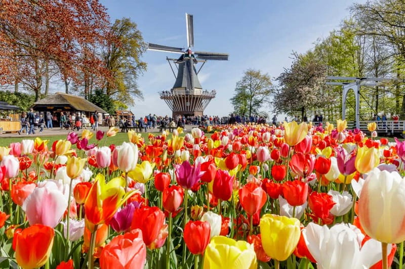 Brussels: Holland Keukenhof & Kinderdijk Guided Day Tour - The coach ride from Brussels to Kinderdijk