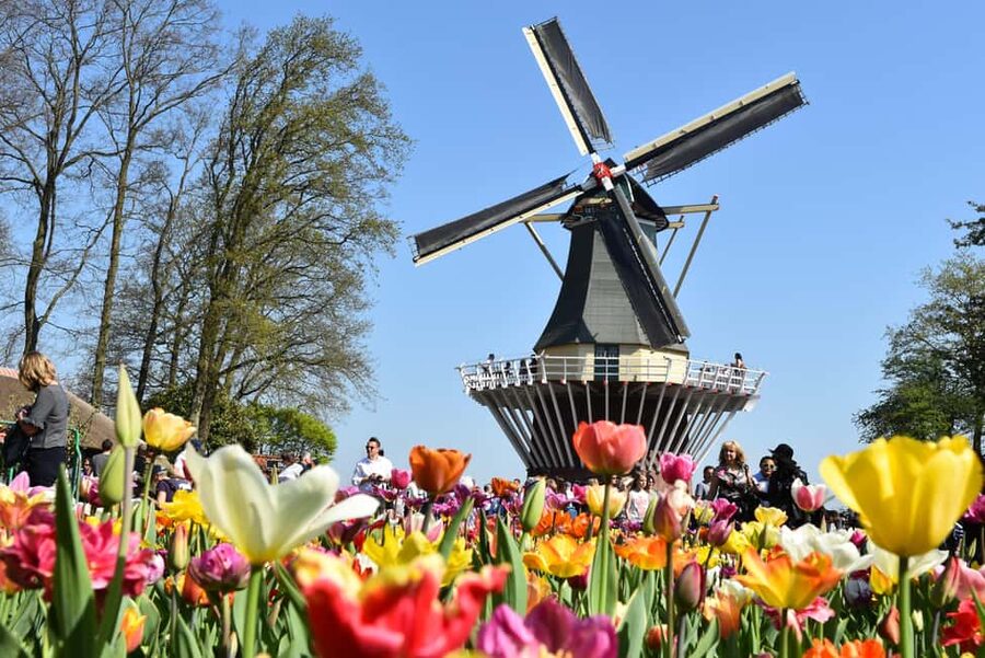 Brussels: Holland Keukenhof & Kinderdijk Guided Day Tour - Practical value at $192 per person