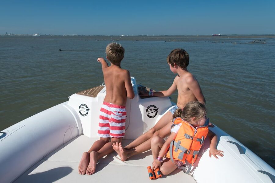 Cadzand: Seal Discovery Boat Tour with Glass of Champagne - A Champagne Toast Beside Wild Seals