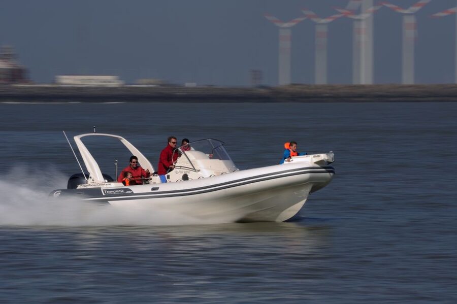 Cadzand: Seal Discovery Boat Tour with Glass of Champagne - Should You Book the Seal Discovery Boat Tour?