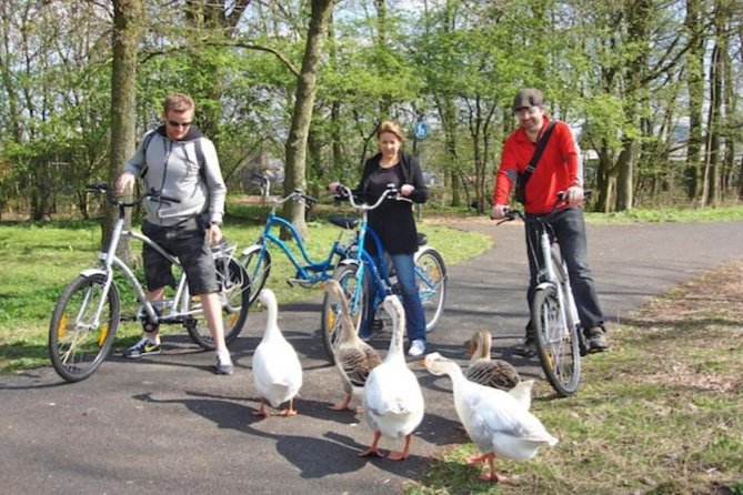 Cheese, Canals & Windmill Countryside E-Bike Tour Amsterdam - Zunderdorp gives you a taste of village life