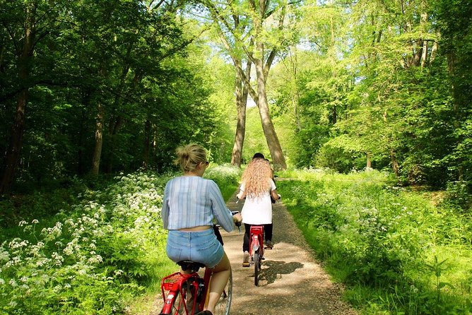 Countryside Fishermen Villages & Cheese E-bike Tour - Green houses and village churches in Waterland