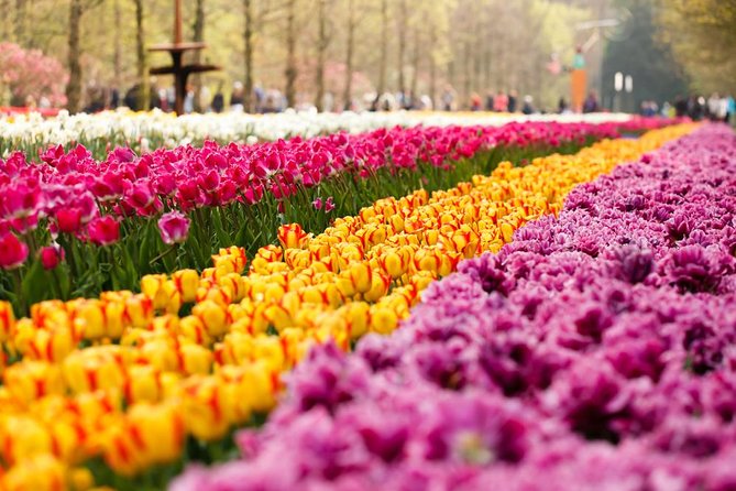 Day Trip to Keukenhof Gardens from Amsterdam with Tour Guide - Entering the Historical Park and Oranje Nassau Pavilion