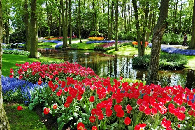 Day Trip to Keukenhof Gardens from Amsterdam with Tour Guide - What the guide service really adds
