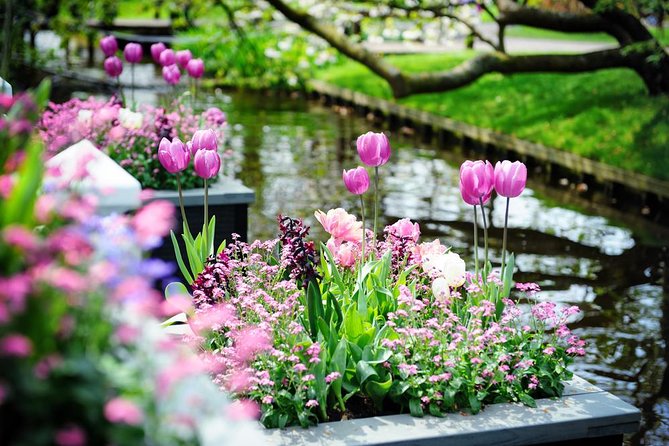 Day Trip to Keukenhof Gardens from Amsterdam with Tour Guide - Is $71.20 a fair price?