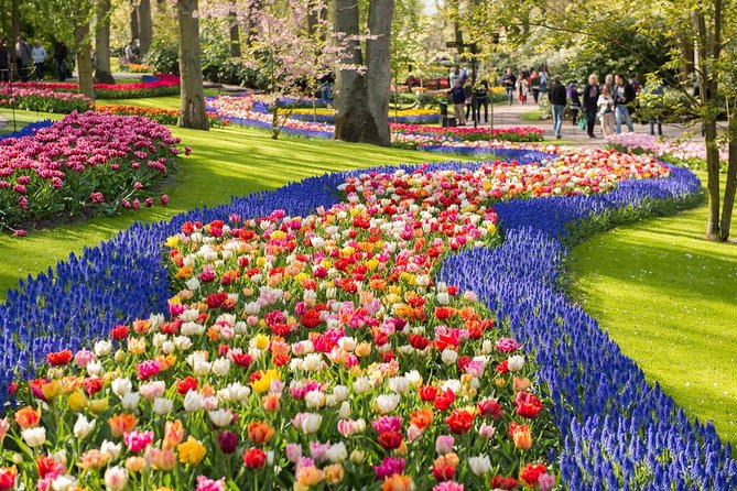 Day Trip to Keukenhof Gardens from Amsterdam with Tour Guide - The coach ride to the flower fields