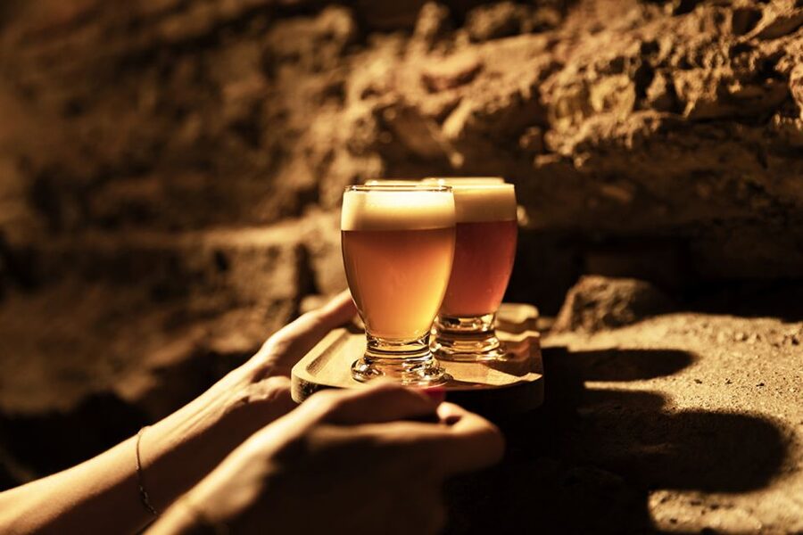 Delft: Craft Beer Tasting in Medieval Brewery with Snacks - Should you book Delfts Brouwhuis?