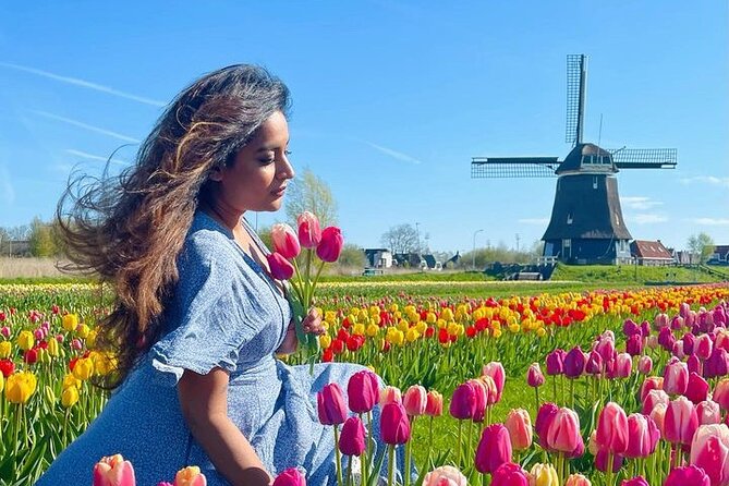 Discover Holland’s Beautiful Tulip Fields with an Expert Guide - Why this tulip tour feels different from a garden visit