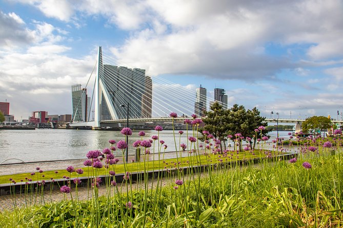 Discover Rotterdam’s most Photogenic Spots with a Local - Key points to know before booking