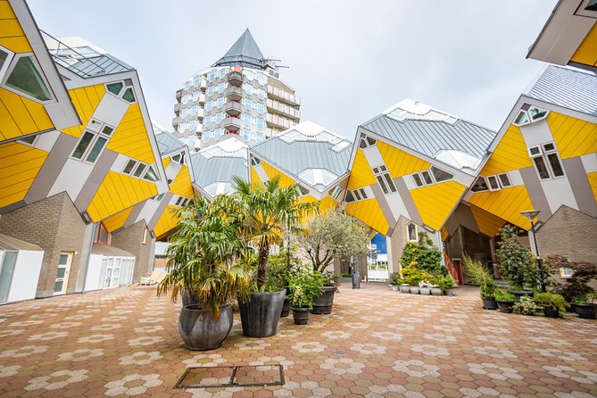 Discover Rotterdam’s most Photogenic Spots with a Local - Market Hall: Rotterdam’s big visual hit