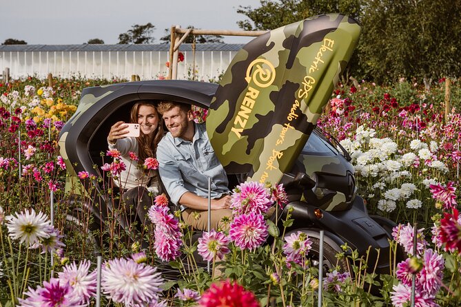 Drive it yourself electric Dune & Summer Flower GPS audio tour - Audio commentary adds context without a live guide