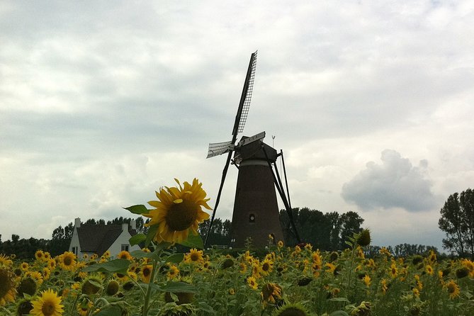 Eindhoven: E-Fatbike Tour In The Footsteps of Vincent van Gogh - Churches, friends, and the old station