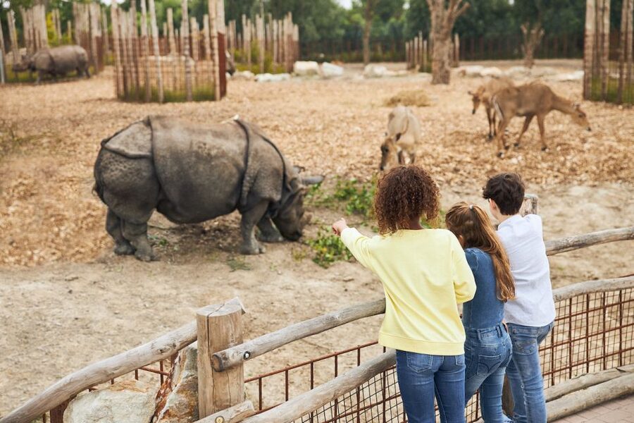 Eindhoven Zoo Entry Ticket - What your day at Eindhoven Zoo looks like