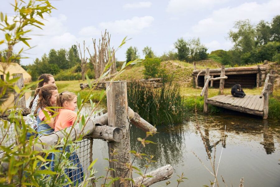 Eindhoven Zoo Entry Ticket - Getting there from Eindhoven and Nuenen