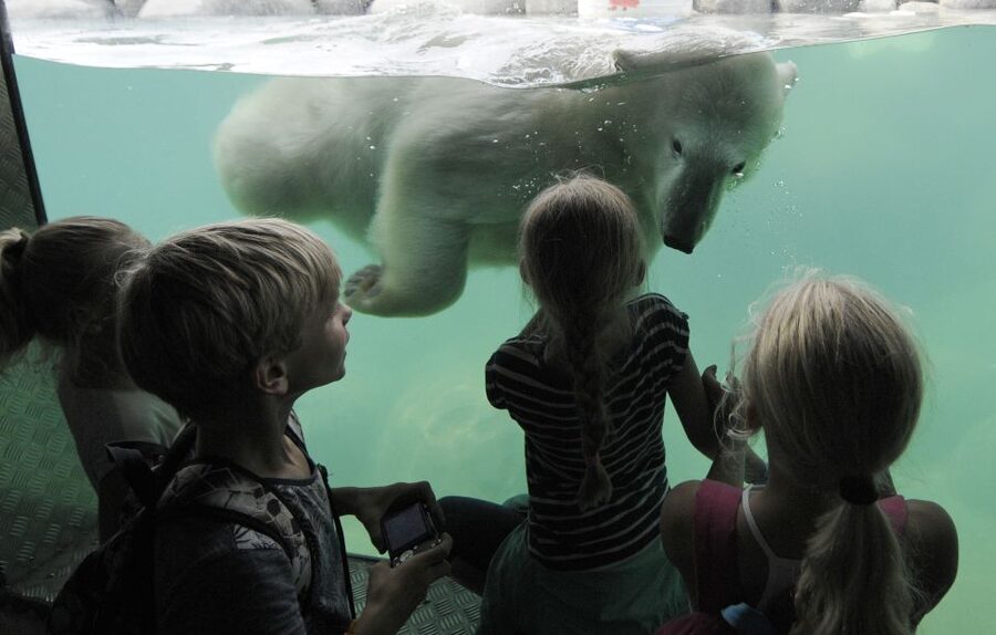 Emmen: Wildlands Adventure Zoo and Rimbula River Boat Ride - Starting in Jungola’s indoor butterfly temple