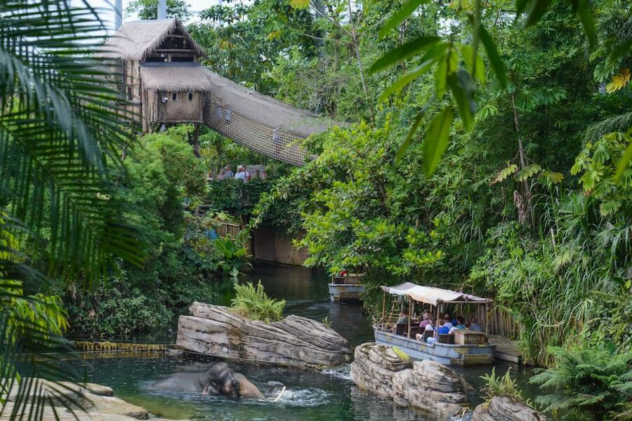Emmen: Wildlands Adventure Zoo and Rimbula River Boat Ride - Who will enjoy Wildlands most